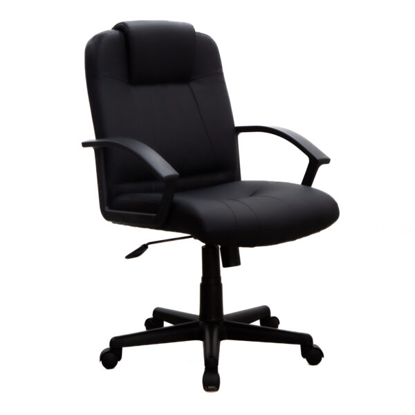 Sillón Ejecutivo Pablo Bajo
