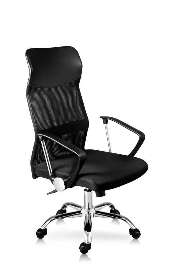 Silla ejecutiva W-1007